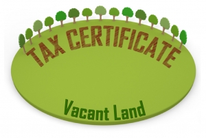 Tax Certificate Photo